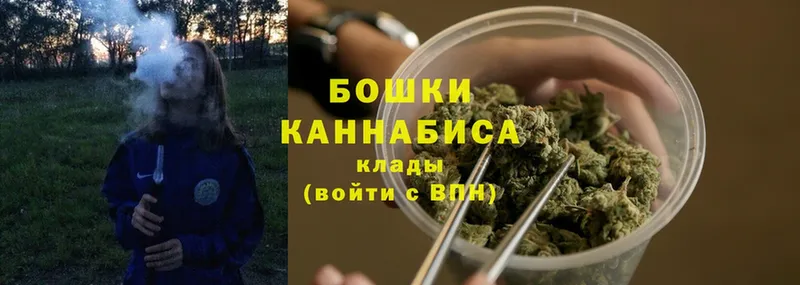 Бошки марихуана White Widow  Дно 